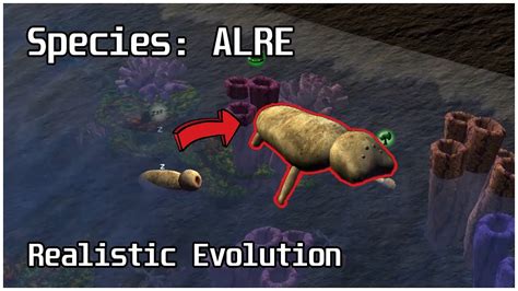 Species ALRE .